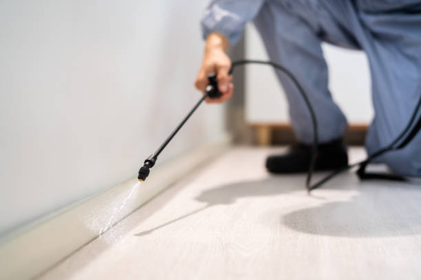Certified termite inspector examining foundation in Lakeview Estates