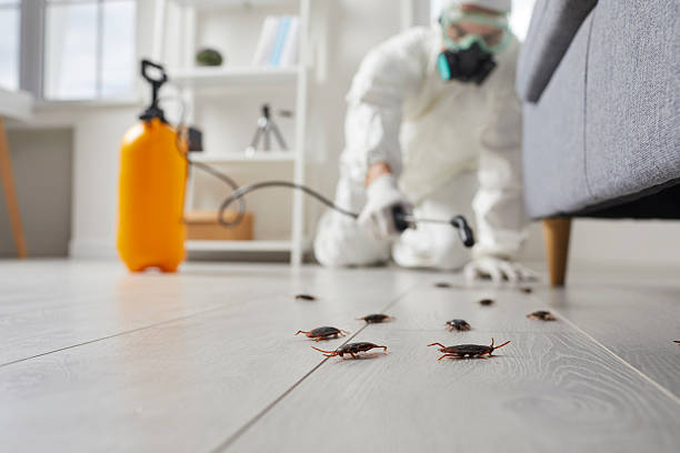 Commercial Rodent Management in Lakeview Estates